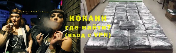 ешки Корсаков