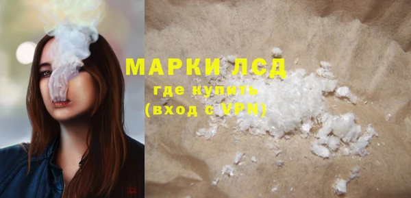 ешки Корсаков