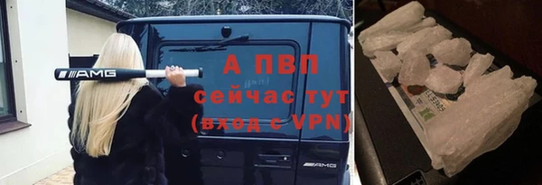 шишки Киренск
