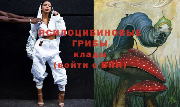 ешки Корсаков