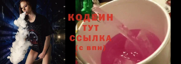 шишки Киренск