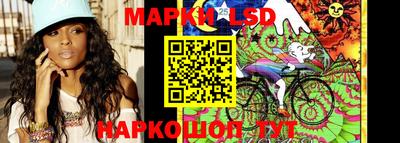 дмт Краснодар