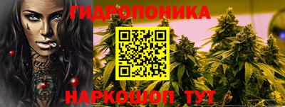 дмт Краснодар
