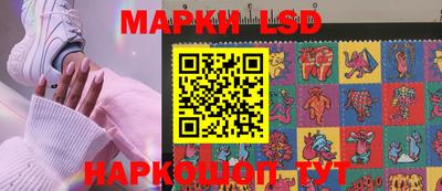 дмт Краснодар