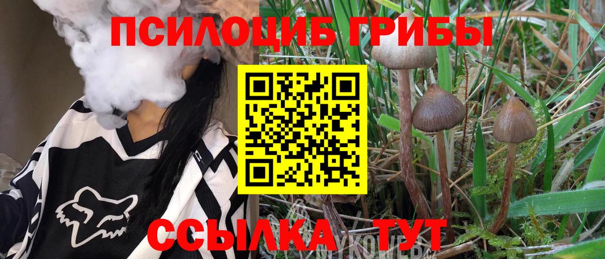 Кашира  Галлюциногенные грибы мухоморы  Галлюциногенные грибы GOLDEN TEACHER  Вход с VPN 